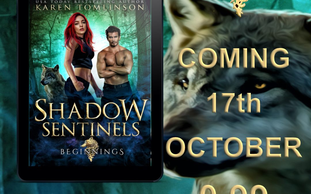 Cover Reveal! Shadow Sentinels: Beginnings!