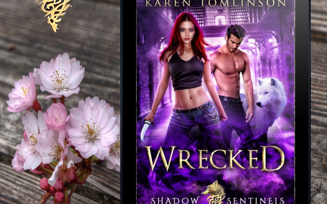 Grab Wrecked book 1 in the shadow sentinels for free!